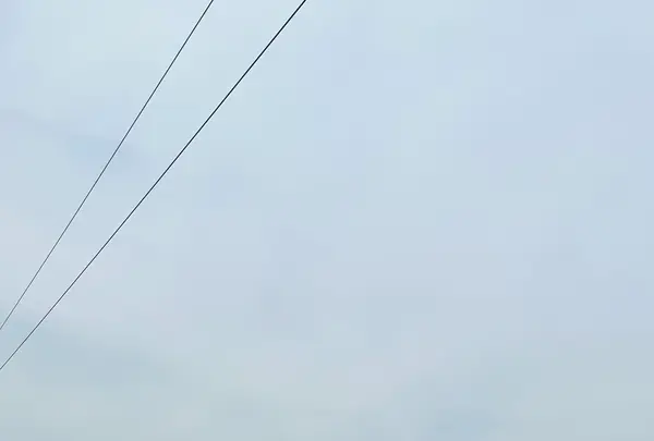 道の駅 くるくるなるとの写真・動画_image_691080