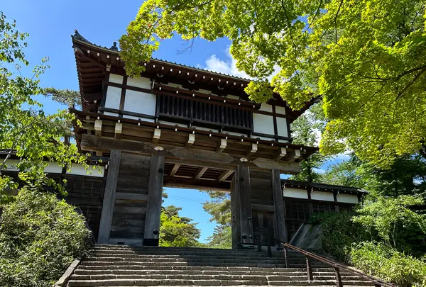 千秋公園の写真・動画_image_691141