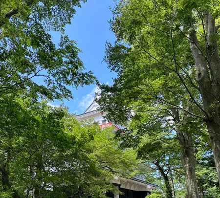 千秋公園の写真・動画_image_691142