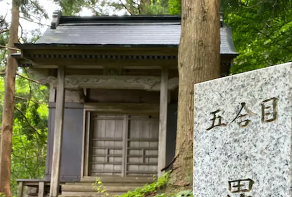東光山の写真・動画_image_696547