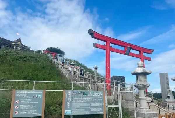 蕪嶋神社の写真・動画_image_698663