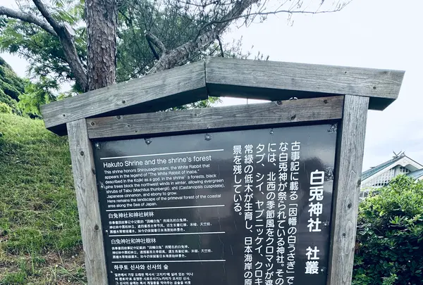 白兎神社の写真・動画_image_699716