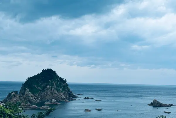 菜種五島の写真・動画_image_699732