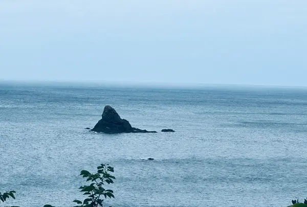 菜種五島の写真・動画_image_699733