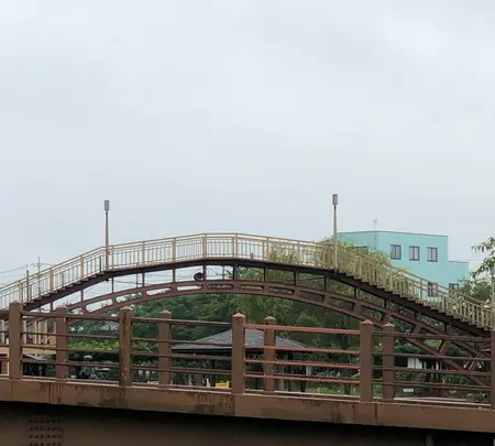 水郷潮来あやめ園の写真・動画_image_701665