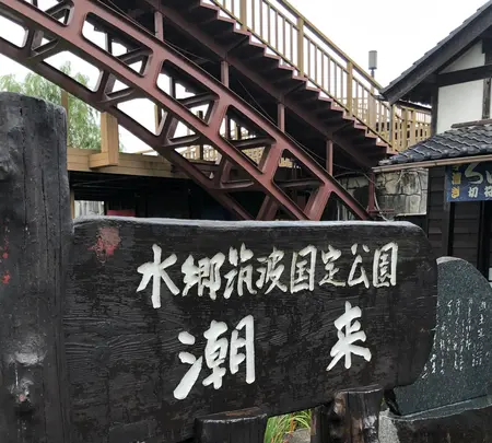 水郷潮来あやめ園の写真・動画_image_701669