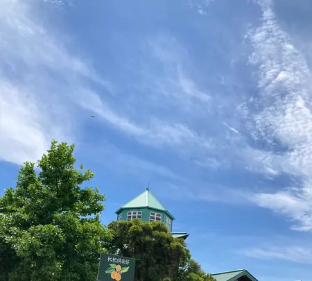 道の駅とみうら枇杷倶楽部の写真・動画_image_701754