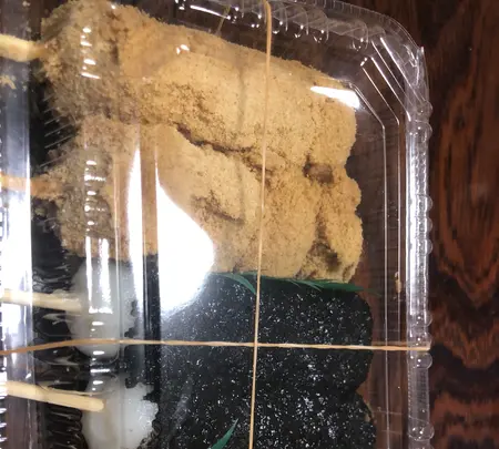好文だんご本舗本店の写真・動画_image_701767