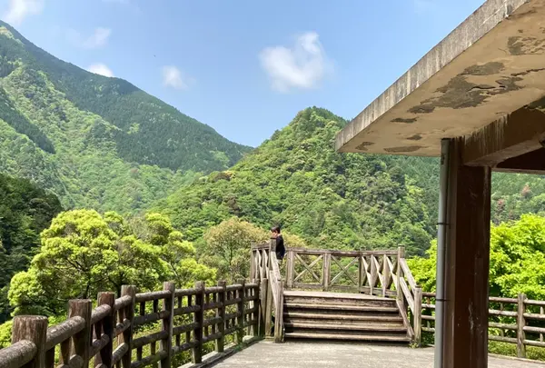 祖谷渓の小便小僧の写真・動画_image_703692