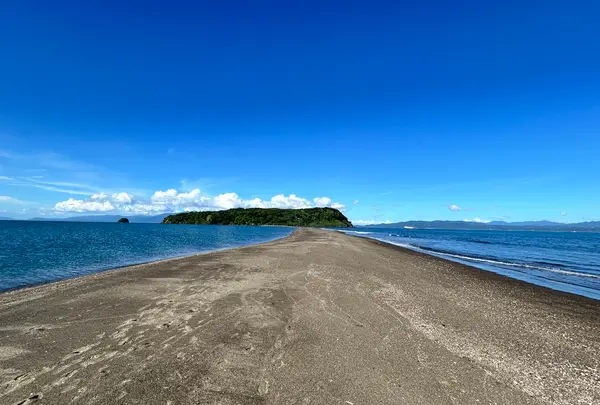 知林ヶ島の写真・動画_image_704047
