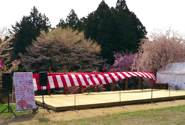 かんざき桜の山桜華園の写真・動画_image_70681
