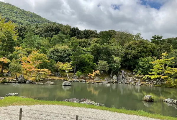 天龍寺の写真・動画_image_708519