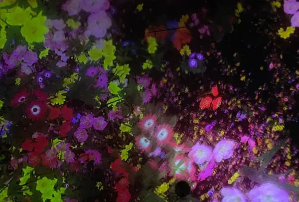 チームラボプラネッツ TOKYO (teamLab Planets TOKYO) DMMの写真・動画_image_713871
