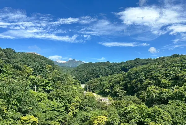 つつじ吊橋の写真・動画_image_714830