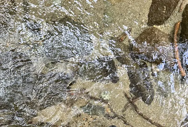 木の俣渓谷の写真・動画_image_714832