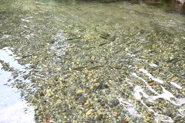 木の俣渓谷の写真・動画_image_714840