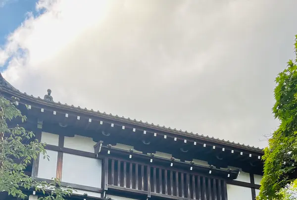千秋公園の写真・動画_image_715267