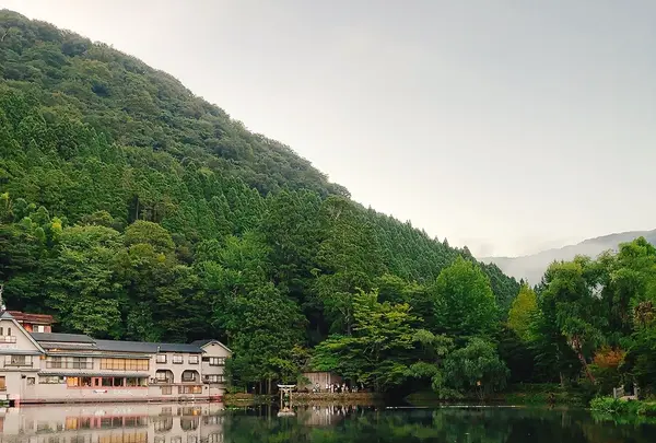 金鱗湖の写真・動画_image_716161