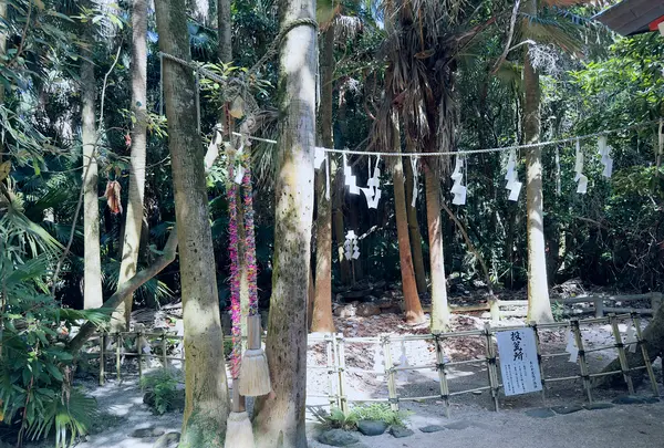 青島神社の写真・動画_image_717821
