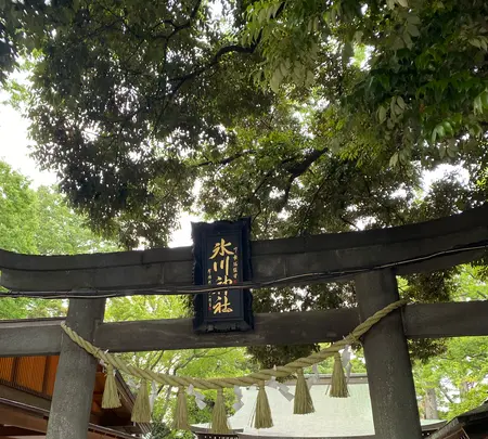 川越氷川神社の写真・動画_image_719998