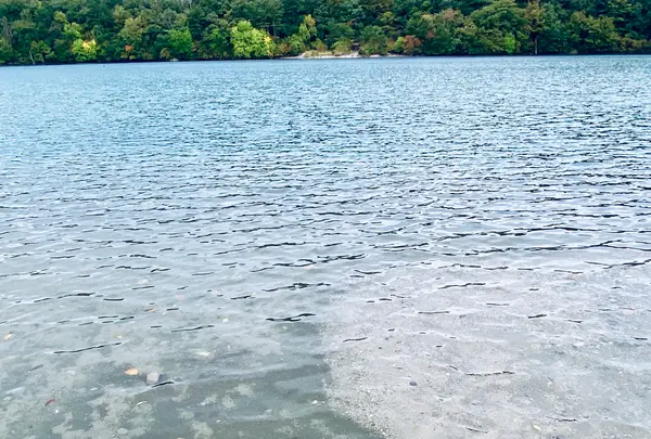 潟沼の写真・動画_image_722352