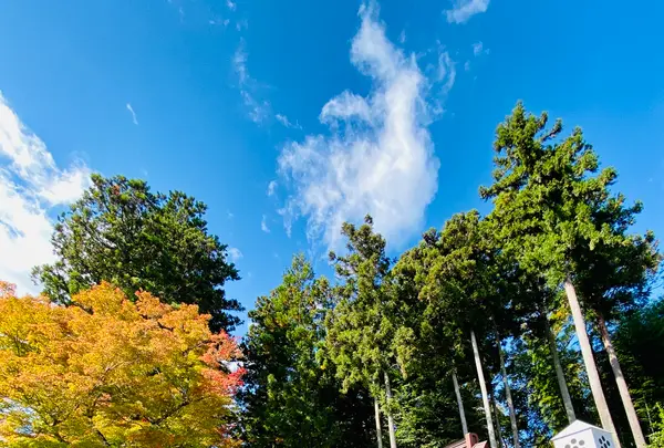 達谷西光寺の写真・動画_image_722354