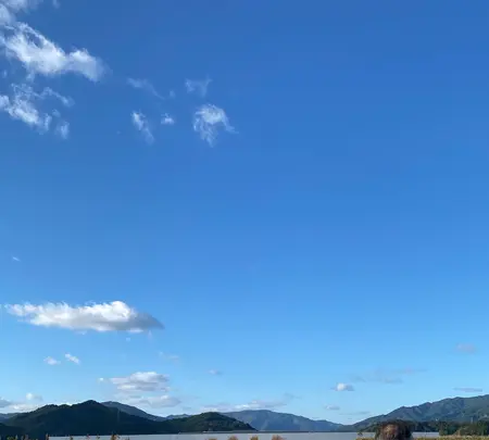 道の駅 高田松原の写真・動画_image_722356
