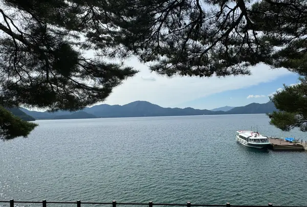 田沢湖の写真・動画_image_723229