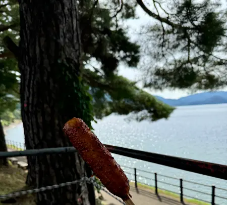 田沢湖の写真・動画_image_723230