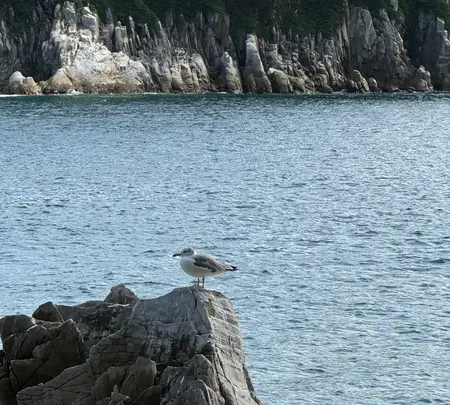 浄土ヶ浜の写真・動画_image_723235