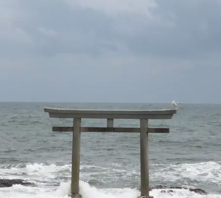 大洗磯前神社の写真・動画_image_723916