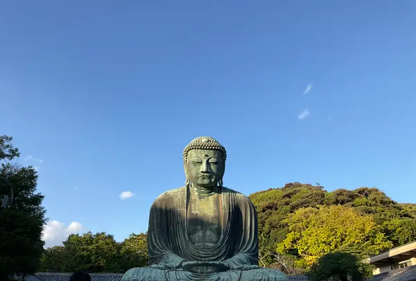 鎌倉大仏（高徳院）の写真・動画_image_724536