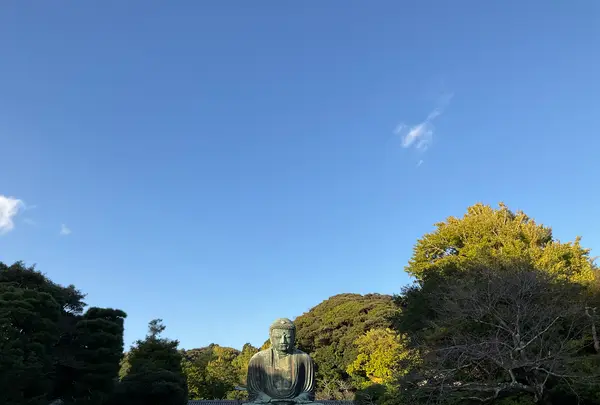 鎌倉大仏（高徳院）の写真・動画_image_724537
