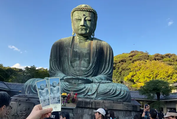 鎌倉大仏（高徳院）の写真・動画_image_724538