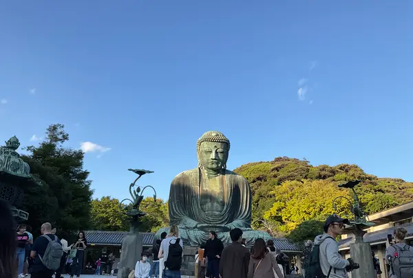 鎌倉大仏（高徳院）の写真・動画_image_724540