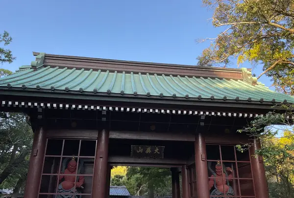 鎌倉大仏（高徳院）の写真・動画_image_724541