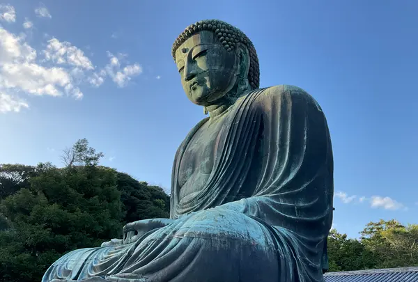 鎌倉大仏（高徳院）の写真・動画_image_724542
