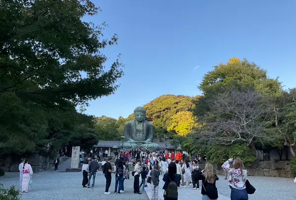 鎌倉大仏（高徳院）の写真・動画_image_724543