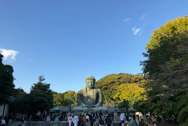 鎌倉大仏（高徳院）の写真・動画_image_724545