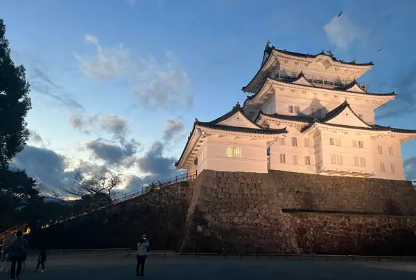 小田原城の写真・動画_image_725640