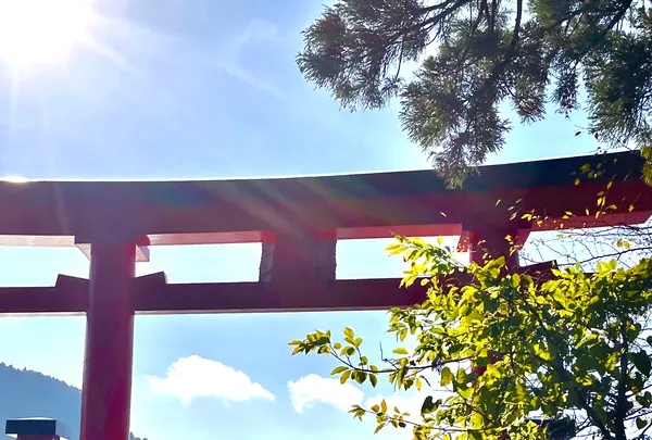 箱根神社の写真・動画_image_726240