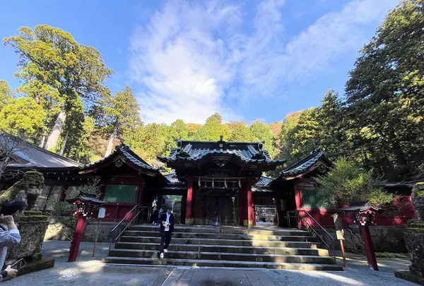 箱根神社の写真・動画_image_726241