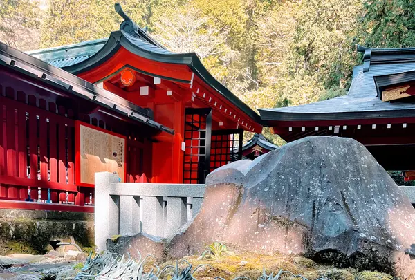 箱根神社の写真・動画_image_726242
