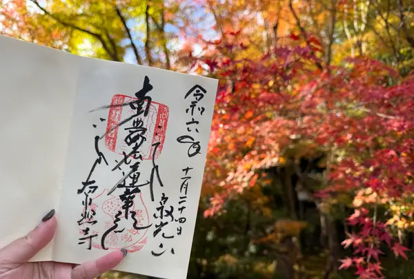 常照寺の写真・動画_image_728622