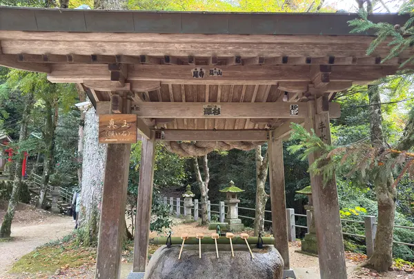 玉作湯神社の写真・動画_image_729706