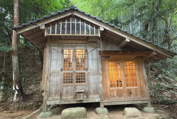 玉作湯神社の写真・動画_image_729707