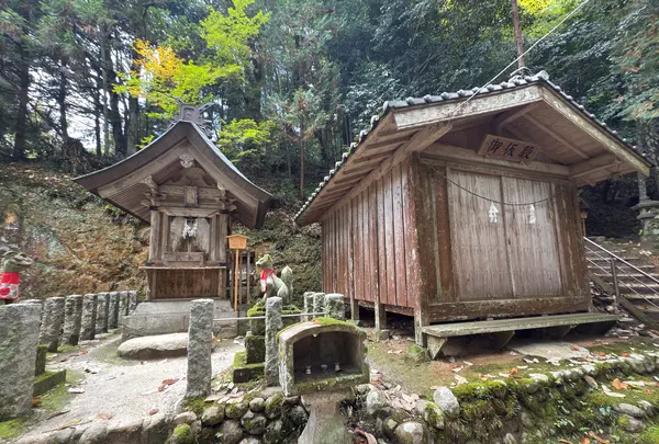 玉作湯神社の写真・動画_image_729708