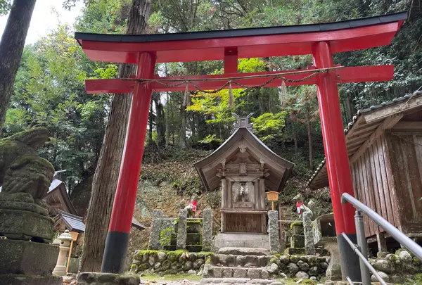 玉作湯神社の写真・動画_image_729709