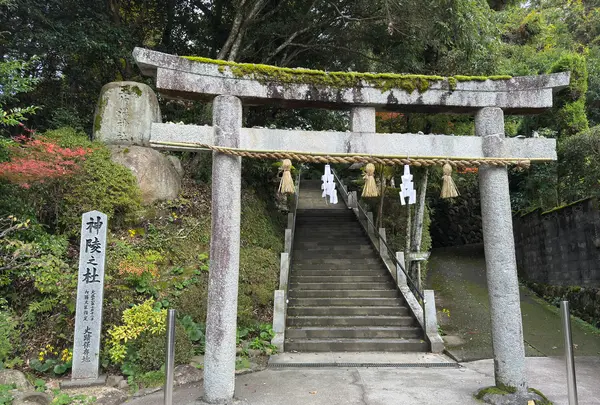 玉作湯神社の写真・動画_image_729710