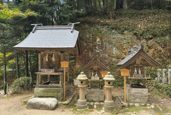 玉作湯神社の写真・動画_image_729711